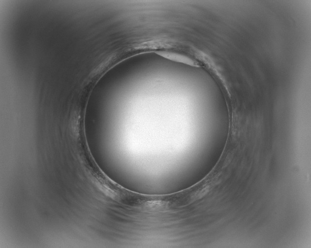 X0000070240153200606091344