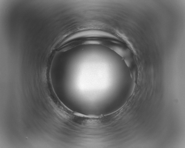 X0000070240154200606091344