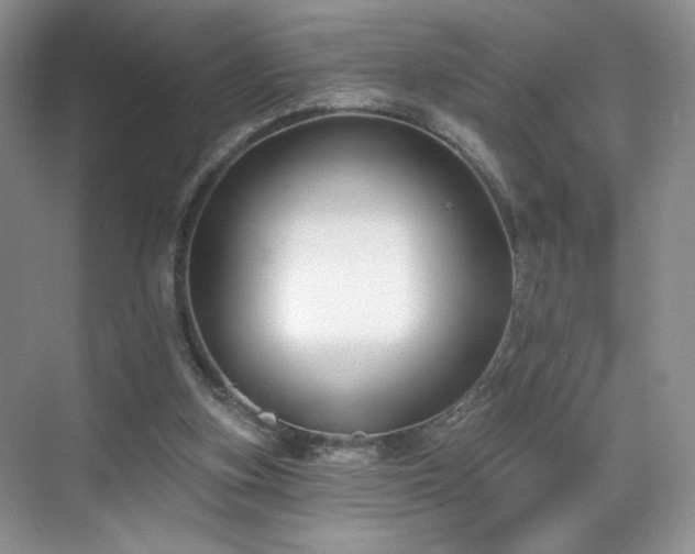 X0000070240155200606091344