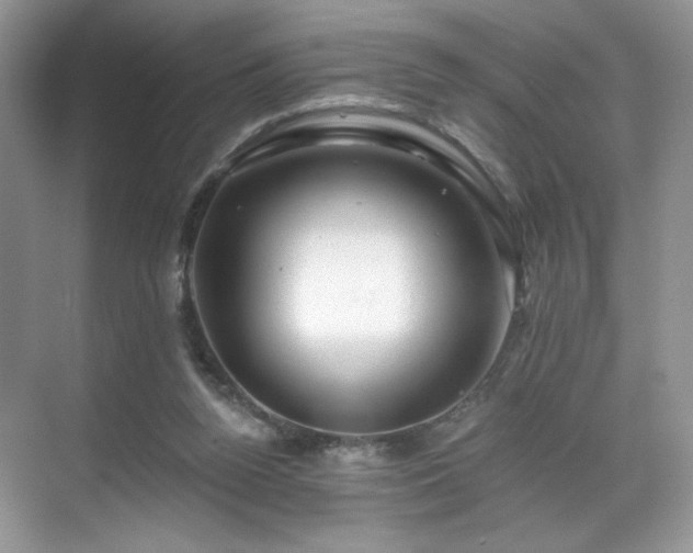 X0000070240160200606091344