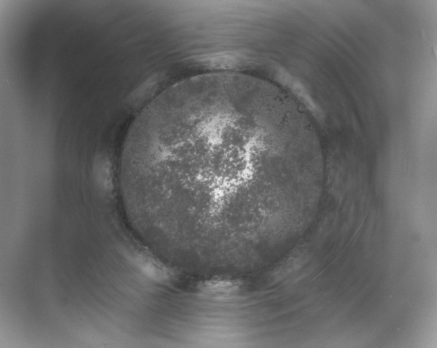 X0000070240161200606091344