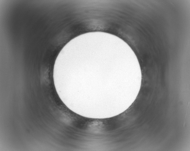 X0000070240162200606091344