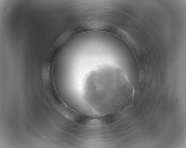 X0000070240163200606091344