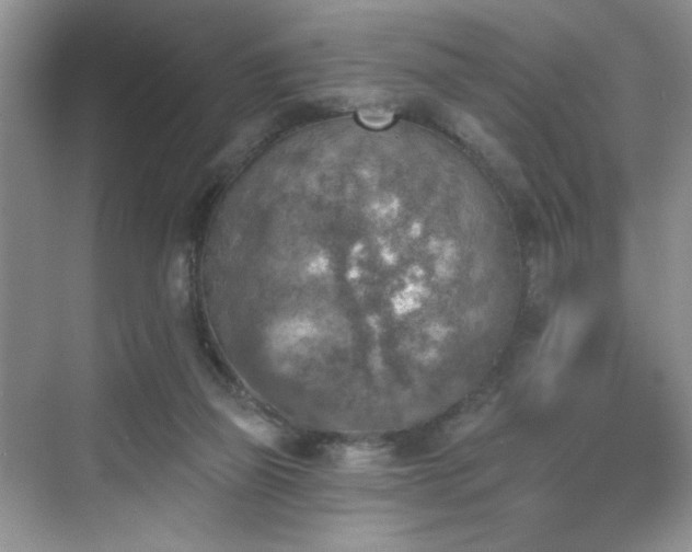 X0000070240165200606091344