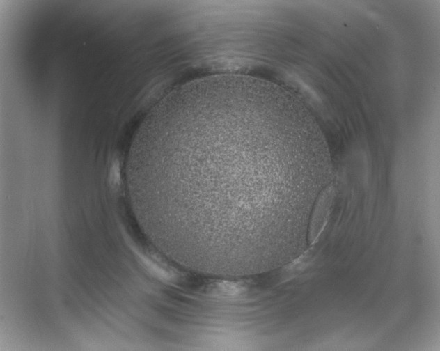 X0000070240166200606091344