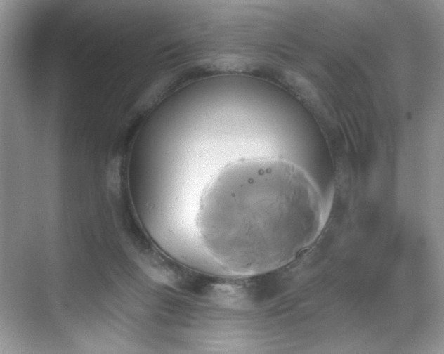 X0000070240167200606091344