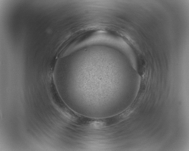 X0000070240168200606091344