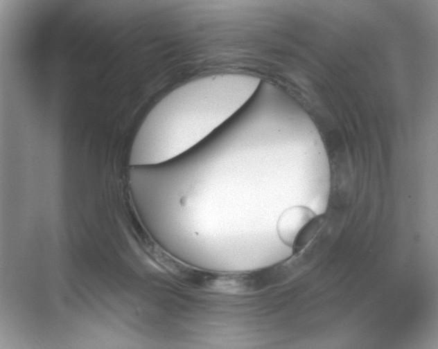 X0000070240171200606091344