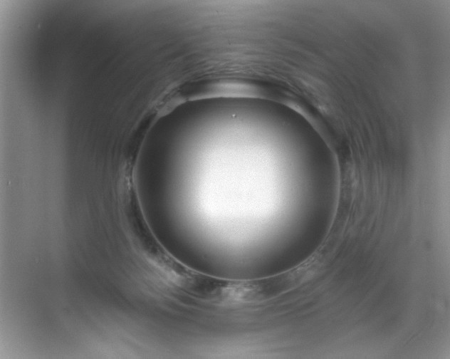 X0000070240172200606091344