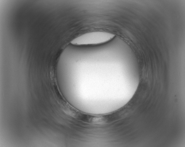 X0000070240173200606091344