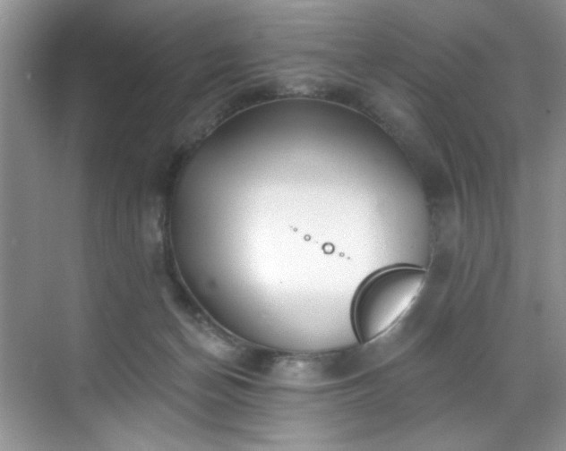 X0000070240174200606091344