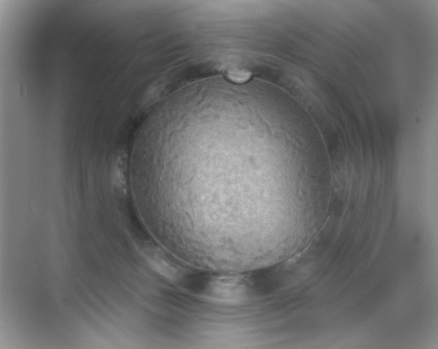 X0000070240175200606091344