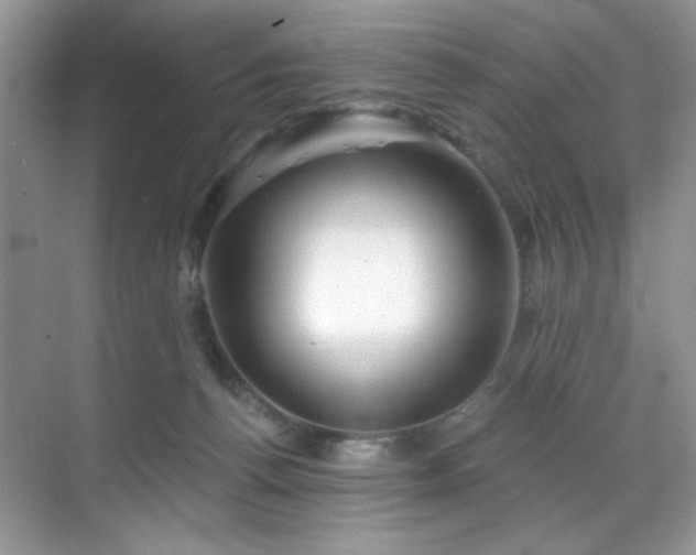 X0000070240176200606091344