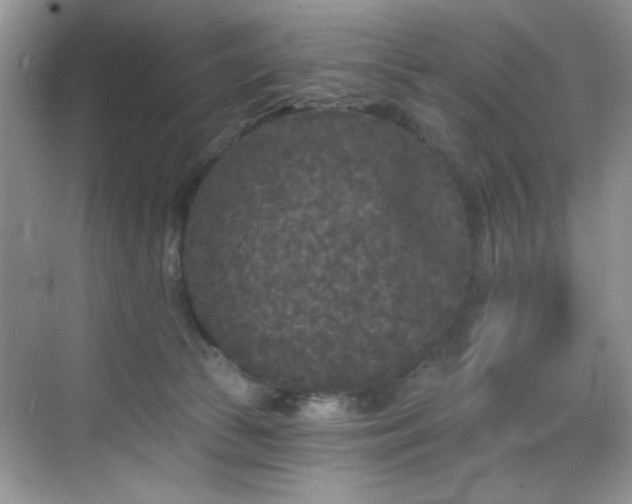 X0000070240177200606091344