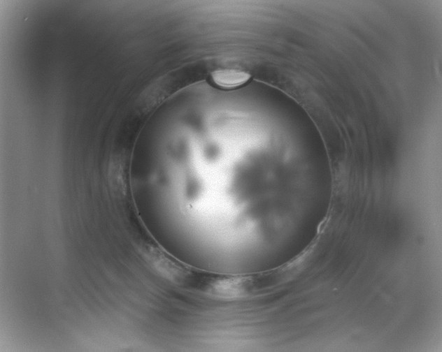 X0000070240178200606091344