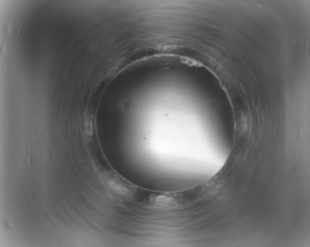 X0000070240180200606091344