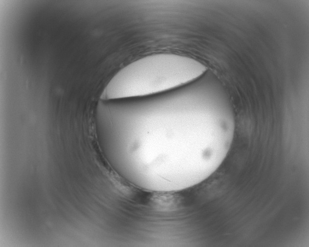 X0000070240181200606091344