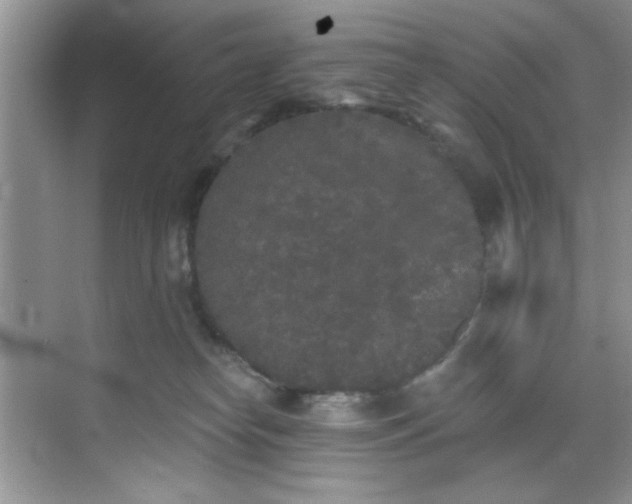 X0000070240182200606091344