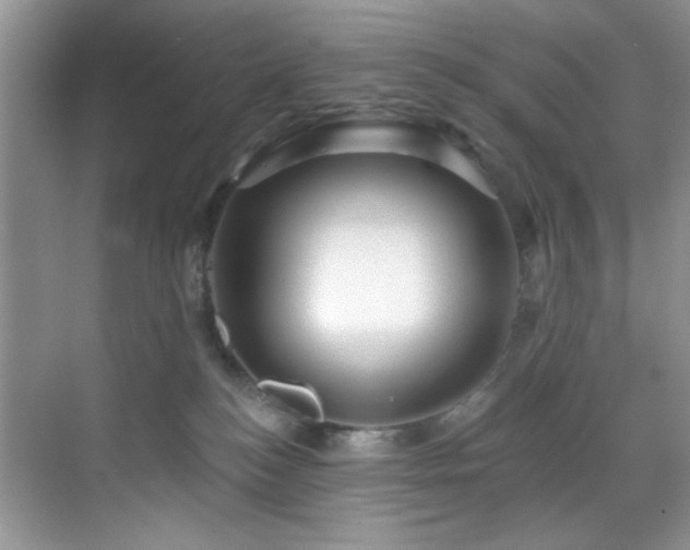 X0000070240184200606091344