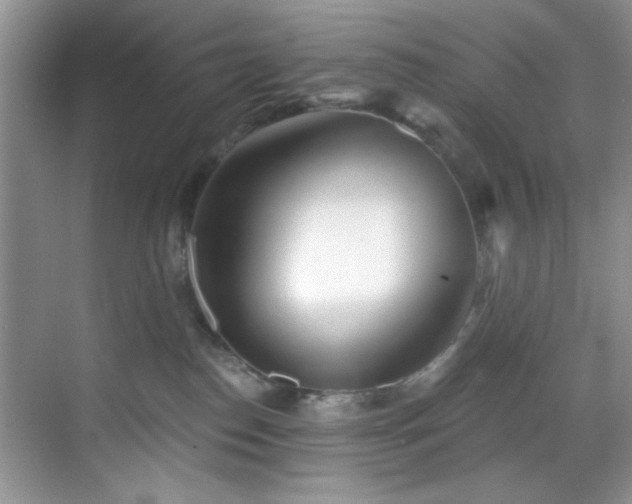 X0000070240186200606091344