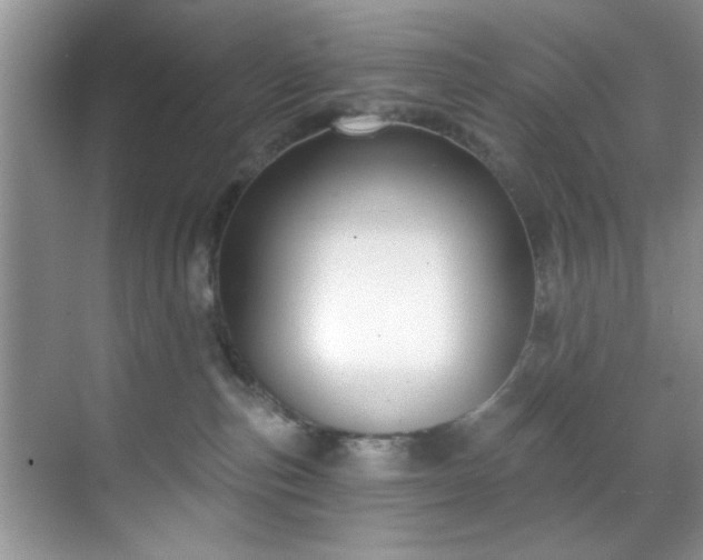 X0000070240187200606091344