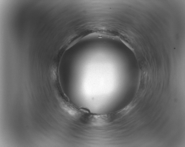 X0000070240188200606091344