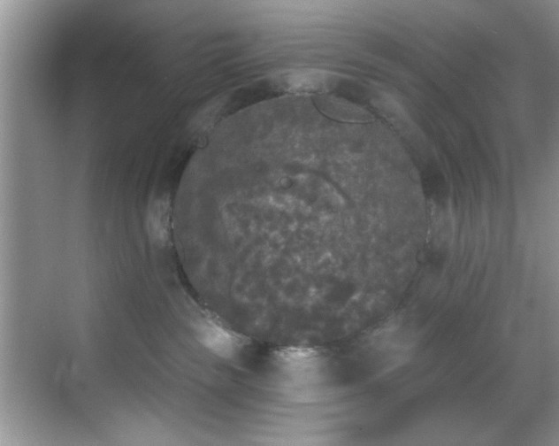 X0000070240189200606091344