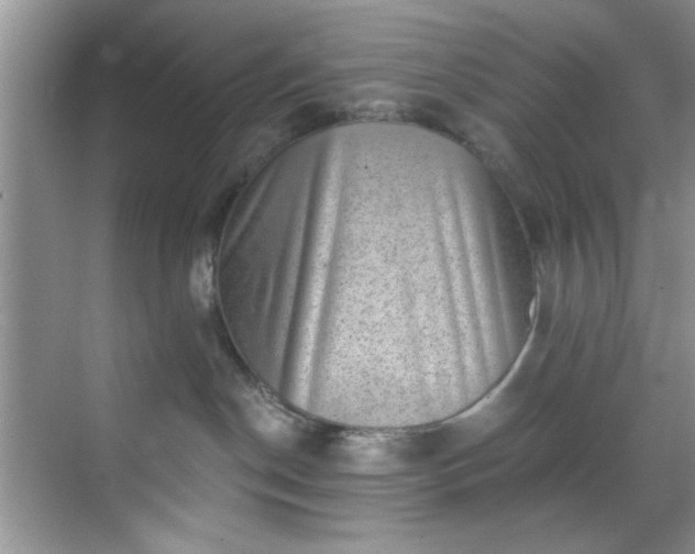 X0000070240190200606091344