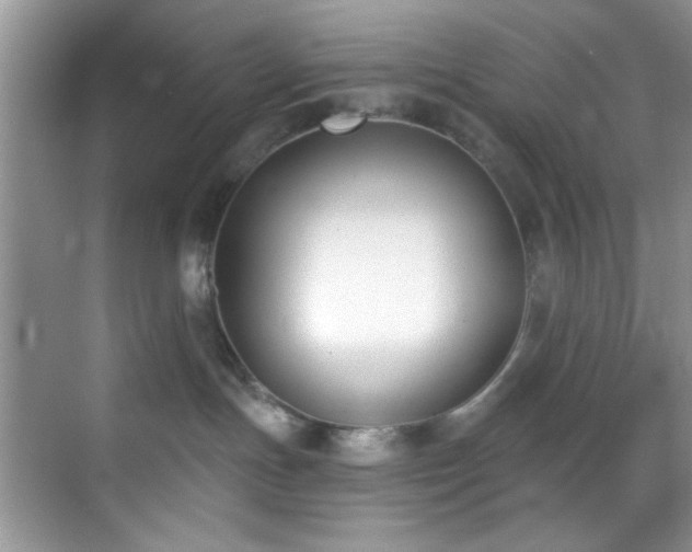 X0000070240191200606091344