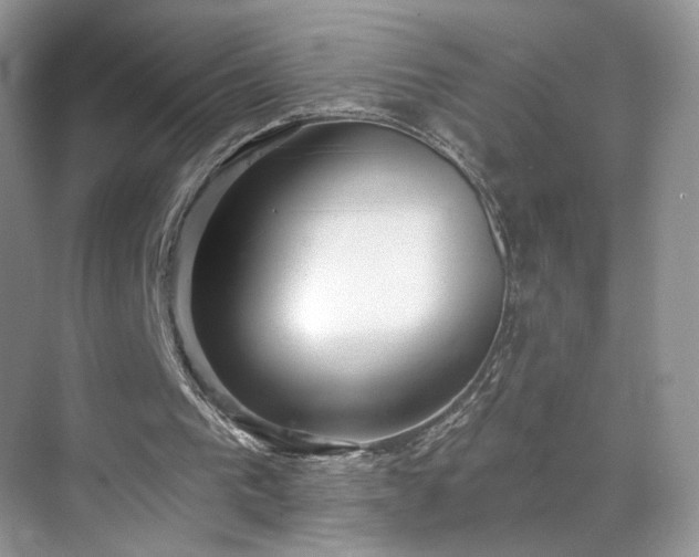 X0000070240193200606091343