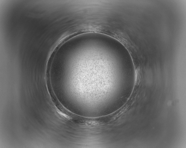 X0000070240195200606091343