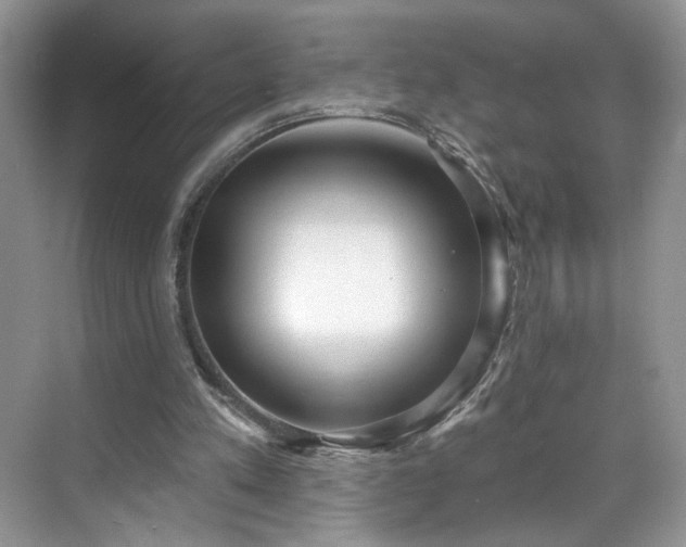 X0000070240197200606091343