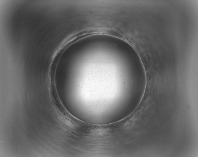 X0000070240198200606091343