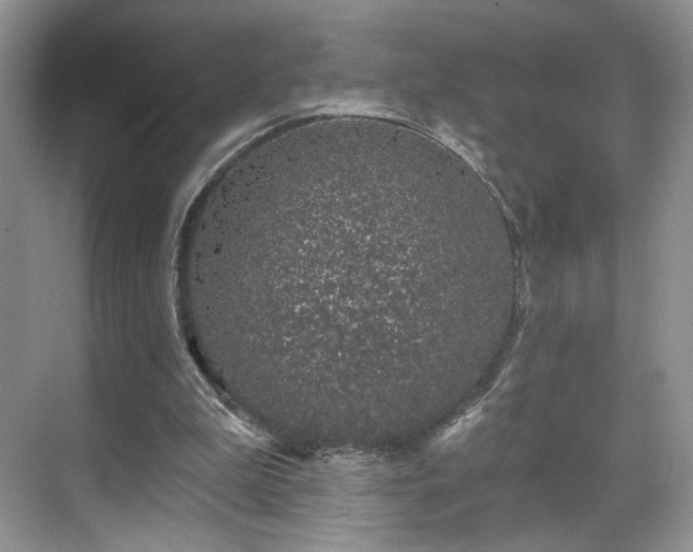 X0000070240199200606091343