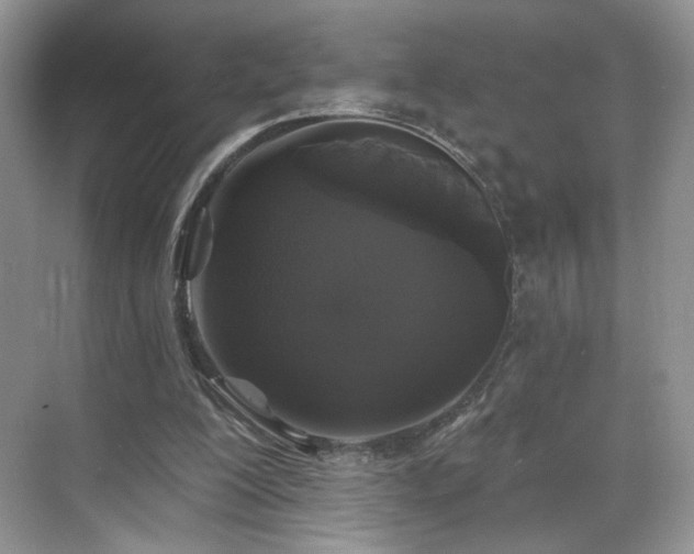 X0000070240200200606091343