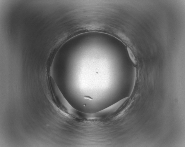 X0000070240201200606091343