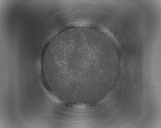 X0000070240202200606091343