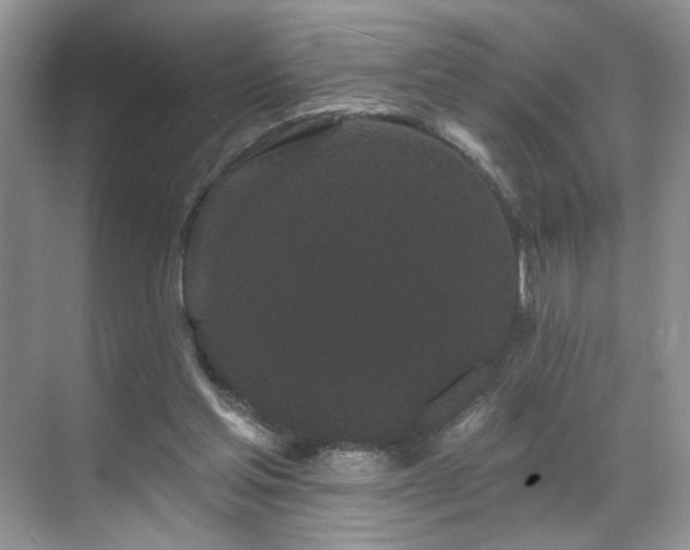 X0000070240205200606091343