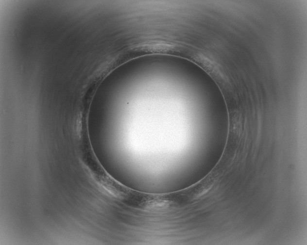 X0000070240206200606091343