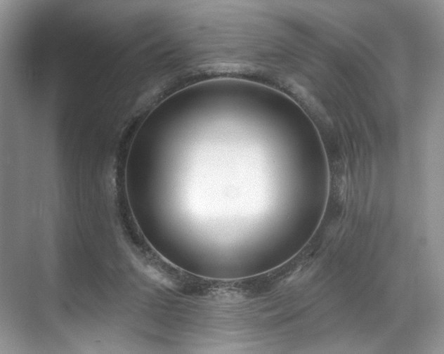 X0000070240207200606091343