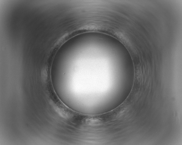 X0000070240208200606091343