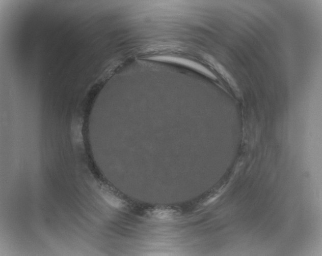 X0000070240209200606091343