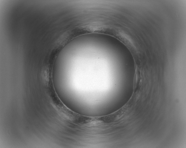 X0000070240210200606091343