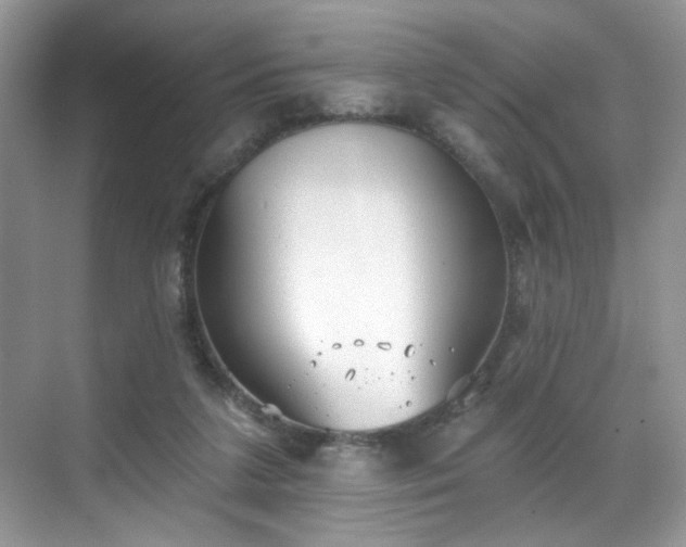 X0000070240211200606091343