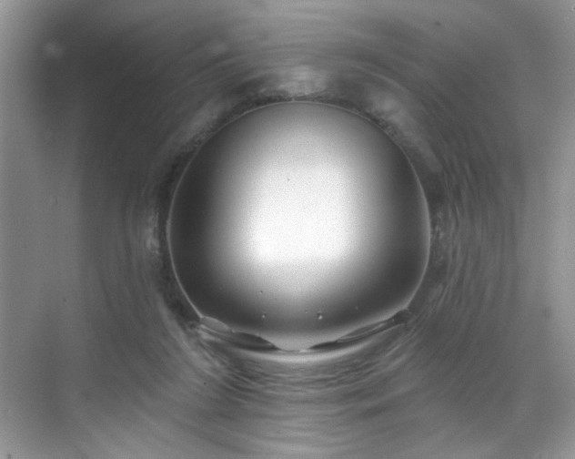 X0000070240212200606091343