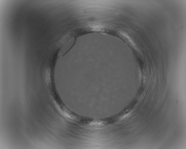 X0000070240213200606091343