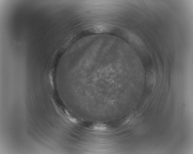 X0000070240214200606091343