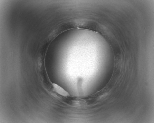 X0000070240215200606091343