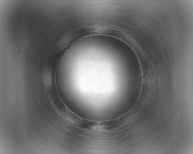 X0000070240216200606091343