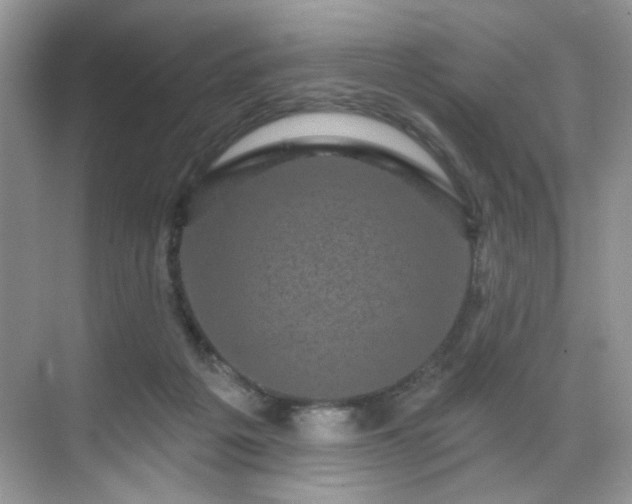 X0000070240217200606091343